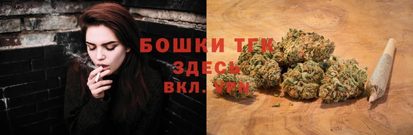 сатива Армянск