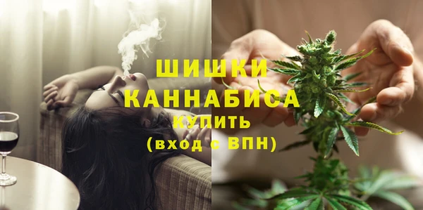 сатива Армянск